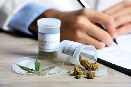 Anvisa publica texto sobre fabricação e importação de medicamentos com Cannabis