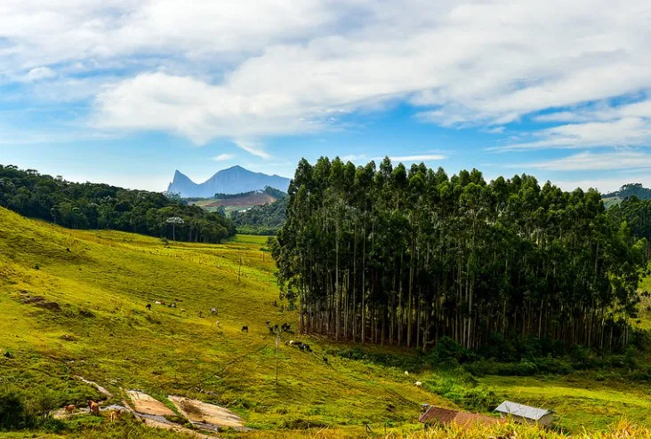 Sede do Parque de Forno Grande é inaugurada em Castelo