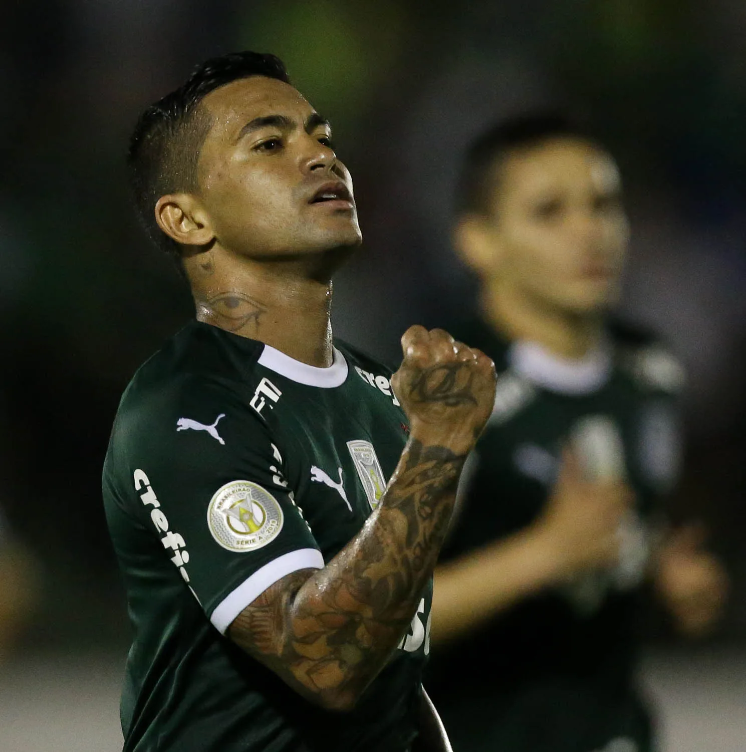 O jogador Dudu, da SE Palmeiras, comemora seu gol contra a equipe do Goiás EC, durante partida válida pela trigésima sétima rodada, do Campeonato Brasileiro, Série A, no Estádio Brinco de Ouro da Princesa.