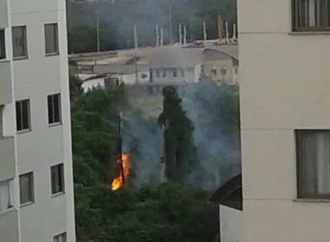 Incêndio consome vegetação de área florestal da capital capixaba há três dias