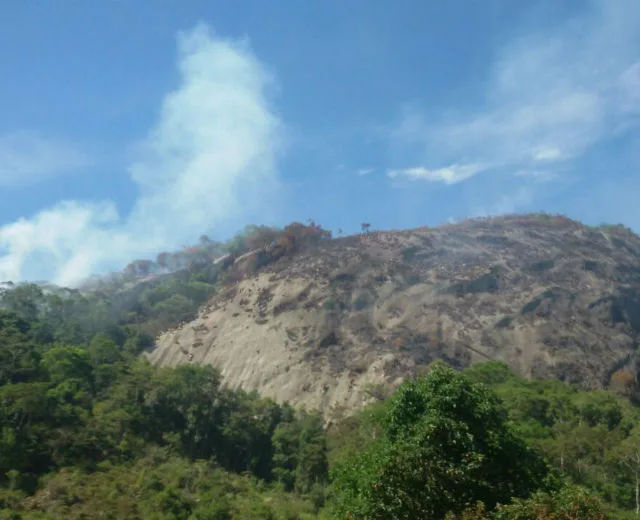 Incêndio volta a atingir vegetação na região de Pedra Azul