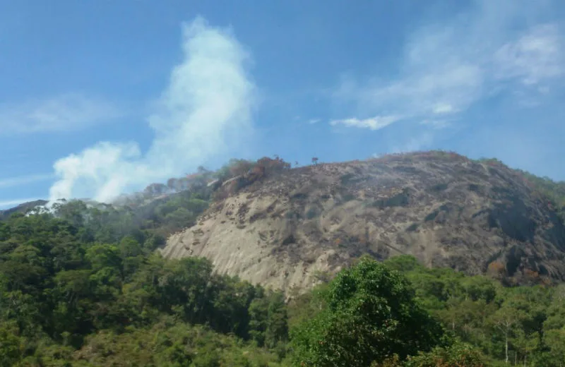 Incêndio volta a atingir vegetação na região de Pedra Azul