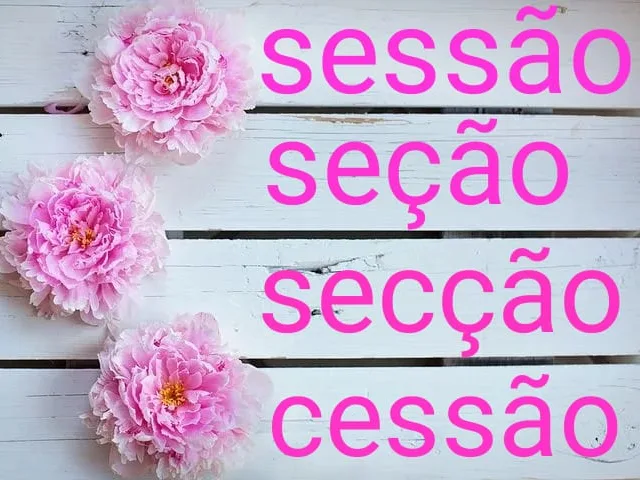 DICA DO DIA (Nº 135): SESSÃO/SEÇÃO/SECÇÃO/CESSÃO