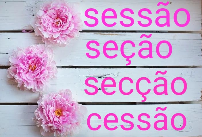 DICA DO DIA (Nº 135): SESSÃO/SEÇÃO/SECÇÃO/CESSÃO