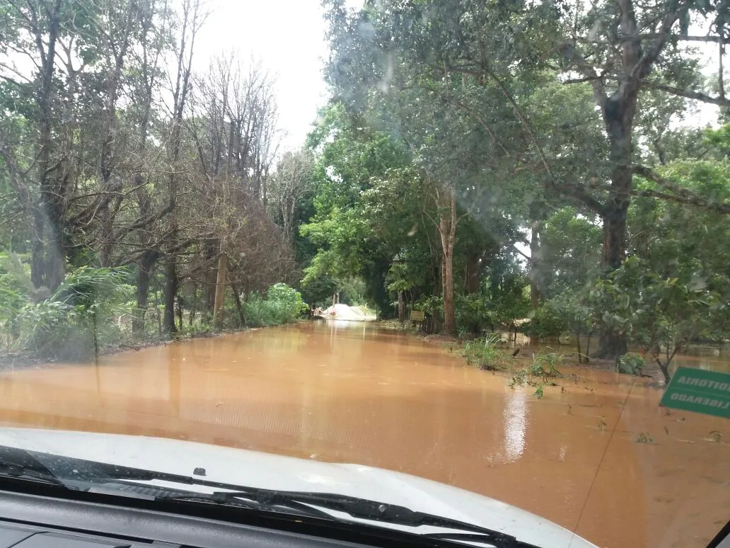 Nível do Rio Doce diminui, mas continua ultrapassando cota de inundação em Linhares