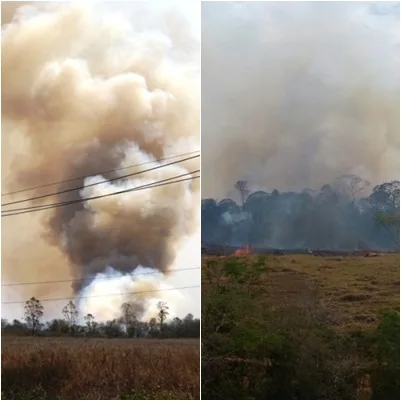 Incêndios atingem fazendas em Santa Leopoldina e reserva nacional em Linhares