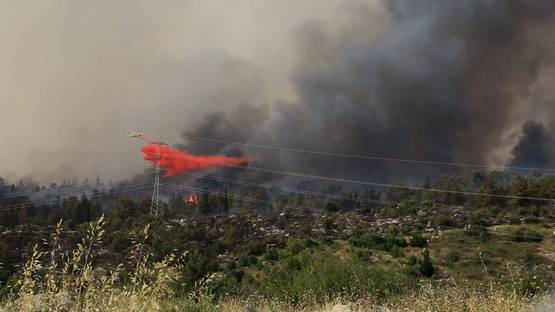 Exército admite erro em acusar palestinos por incêndio em Israel