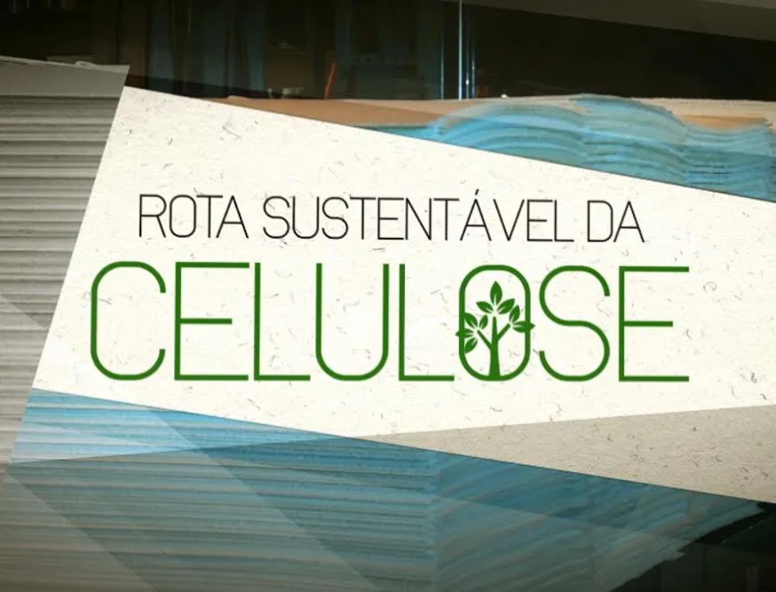 Jornal da TV Vitória exibe série de reportagens especiais sobre o ciclo da celulose no Estado