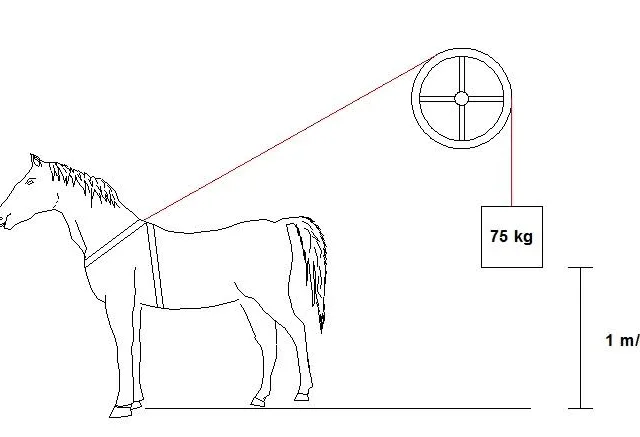 DICA DO DIA (Nº 76): CAVALO-VAPOR