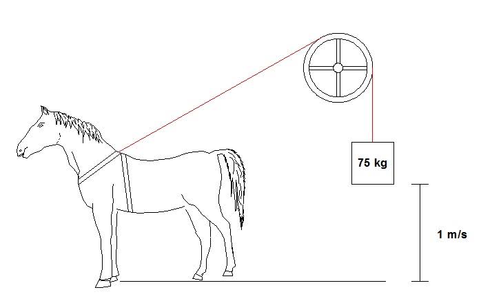 DICA DO DIA (Nº 76): CAVALO-VAPOR