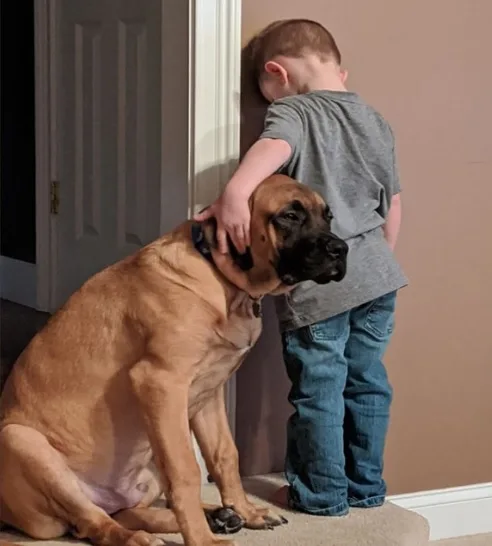 Mãe coloca filho de castigo de frente para parede e cachorro acompanha a punição