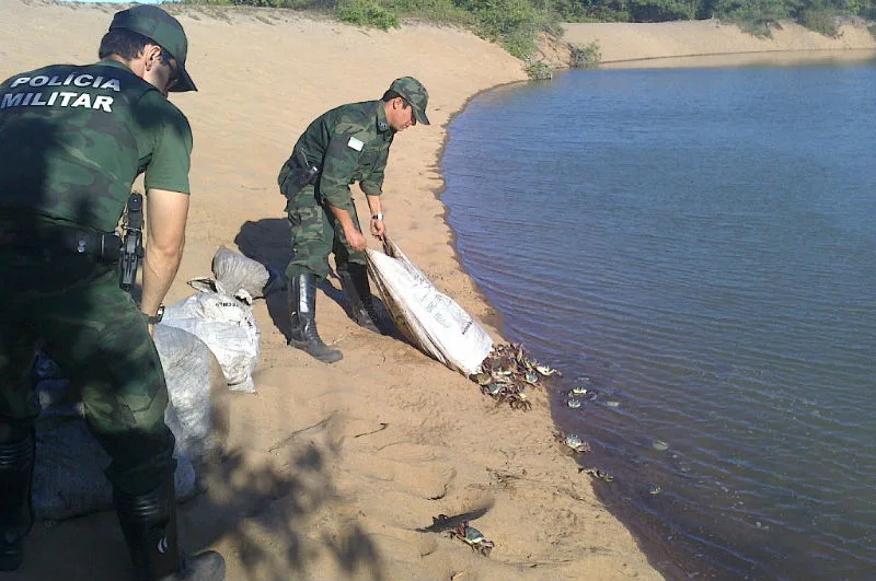 Polícia detém pescador e apreende mais de 700 caranguejos em Marataízes