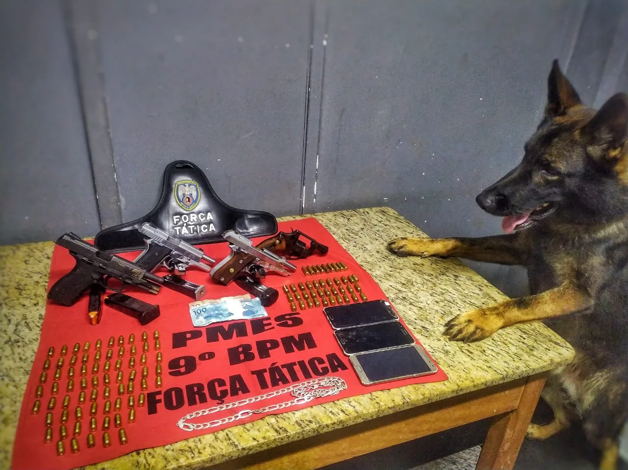 Cão Messi localiza armas e cinco são detidos durante ação em Cachoeiro