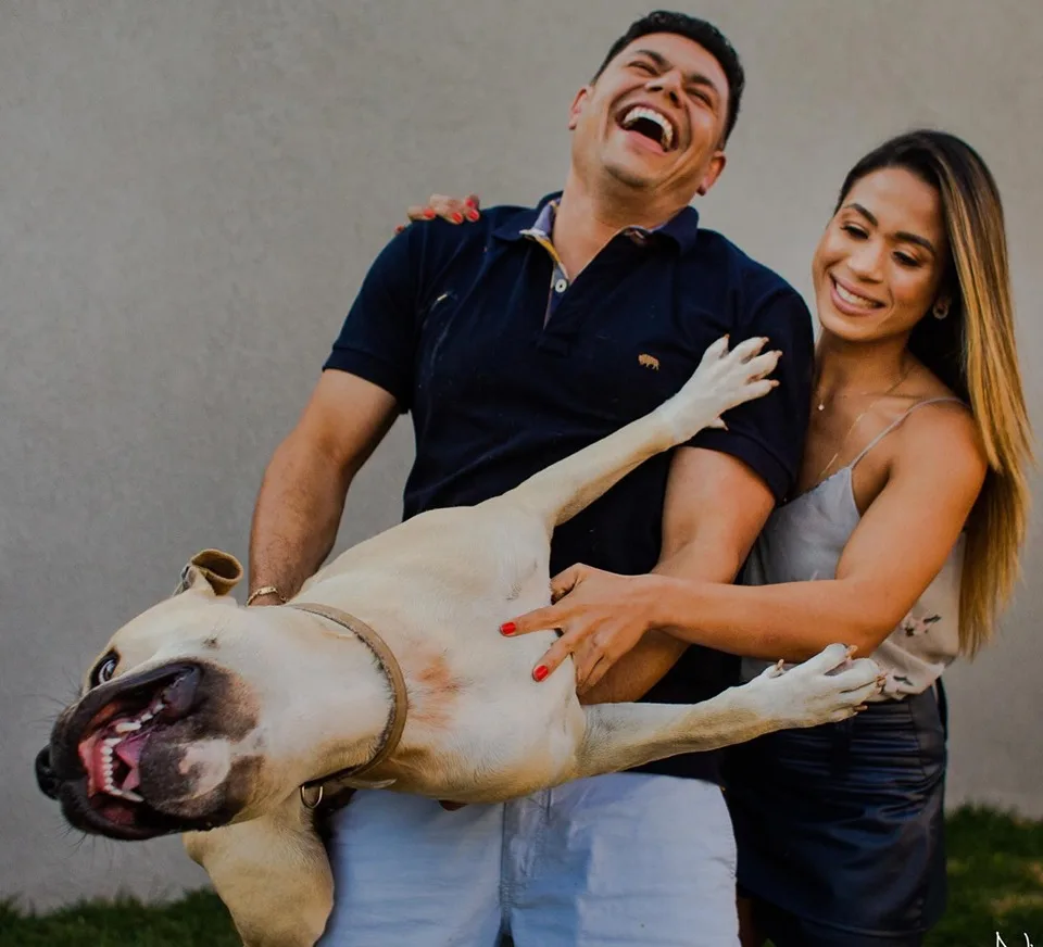 Hilário! Cachorro rouba a cena em ensaio fotográfico e imagens viralizam na internet. Confira!