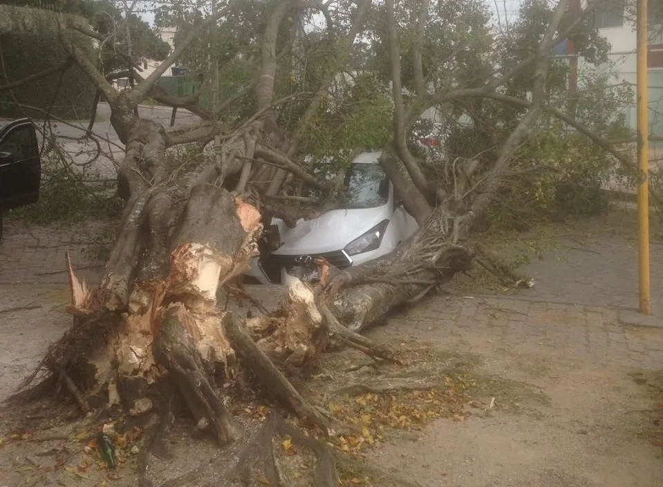 Vento forte derruba árvore em cima de veículo em Cachoeiro