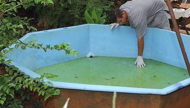 Dengue: número de casos no Brasil é 5 vezes maior que em 2018