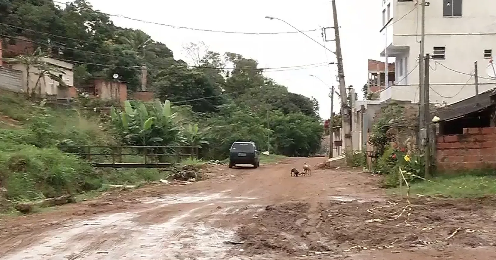 Jovem é morto e três amigos dele são baleados na Serra