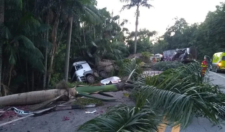 Motorista morre após acidente entre carretas e caminhão na BR 101, em Rio Novo do Sul