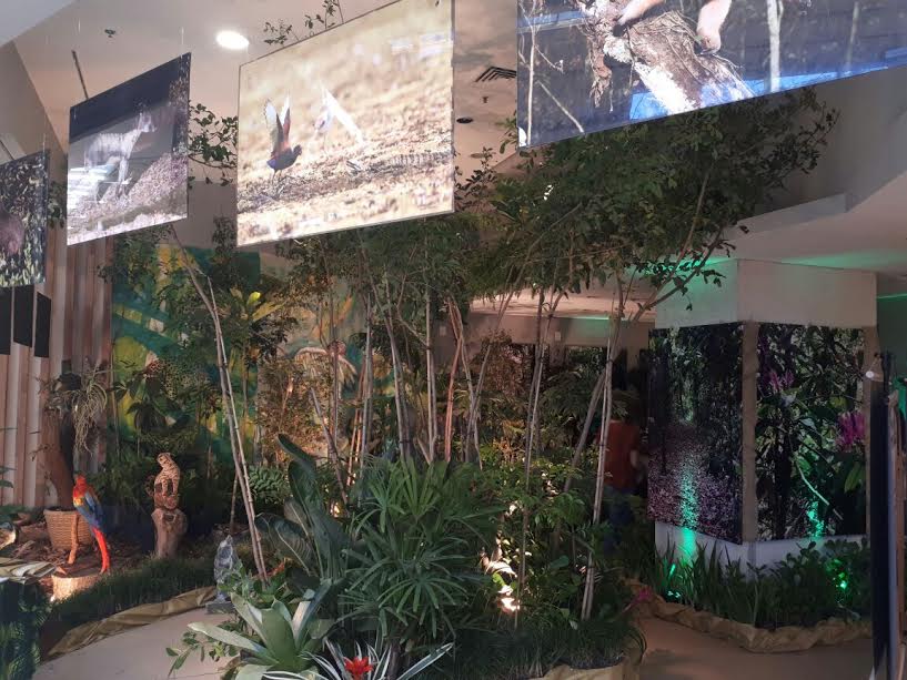 Exposição leva um pedacinho da Mata Atlântica para o Shopping Vitória