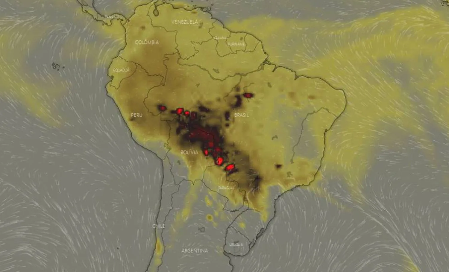 'Nossa guerra contra a natureza deve acabar', diz ativista climática sobre queimadas