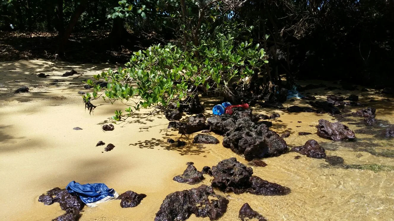 ​​Projeto de limpeza da baía de Vitória pretende recolher uma tonelada de lixo