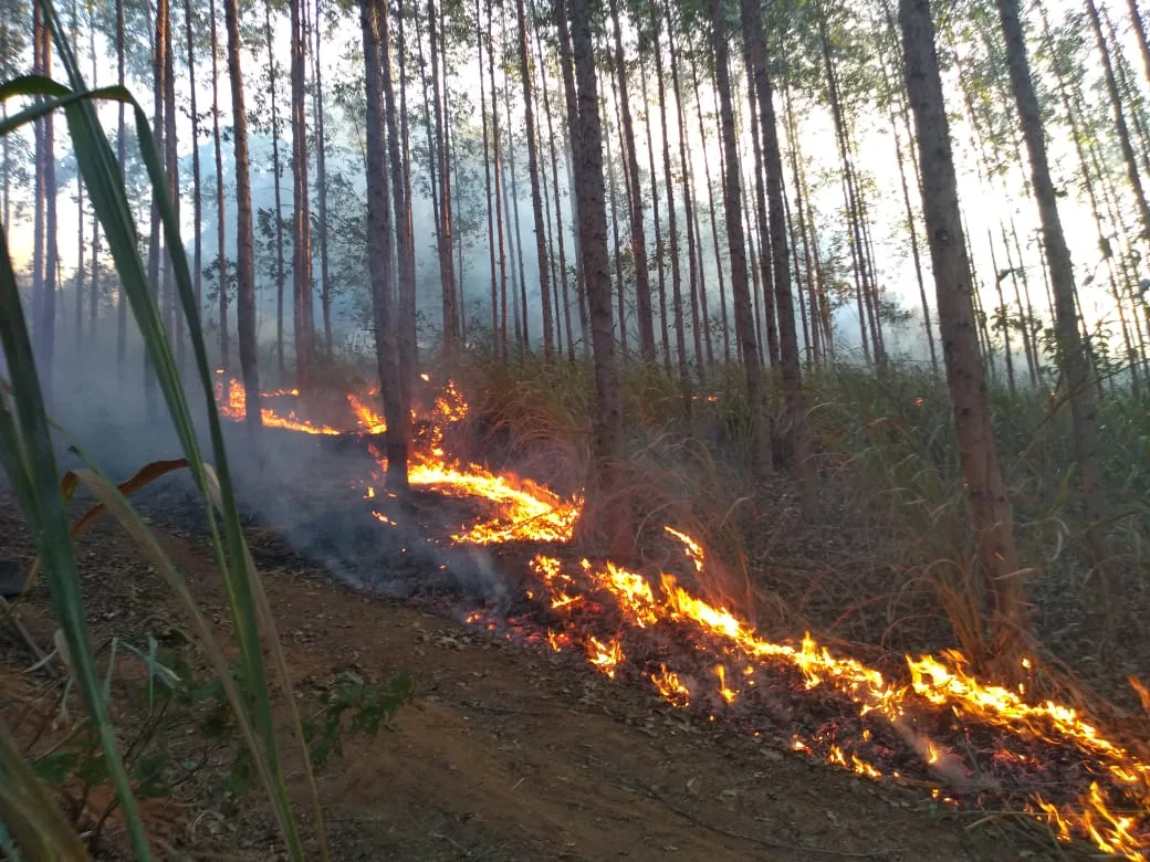 Foto: Corpo de Bombeiros/Divulgação