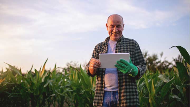 Brasil ultrapassa 92% de domicílios com acesso à internet, mas as desigualdades persistem