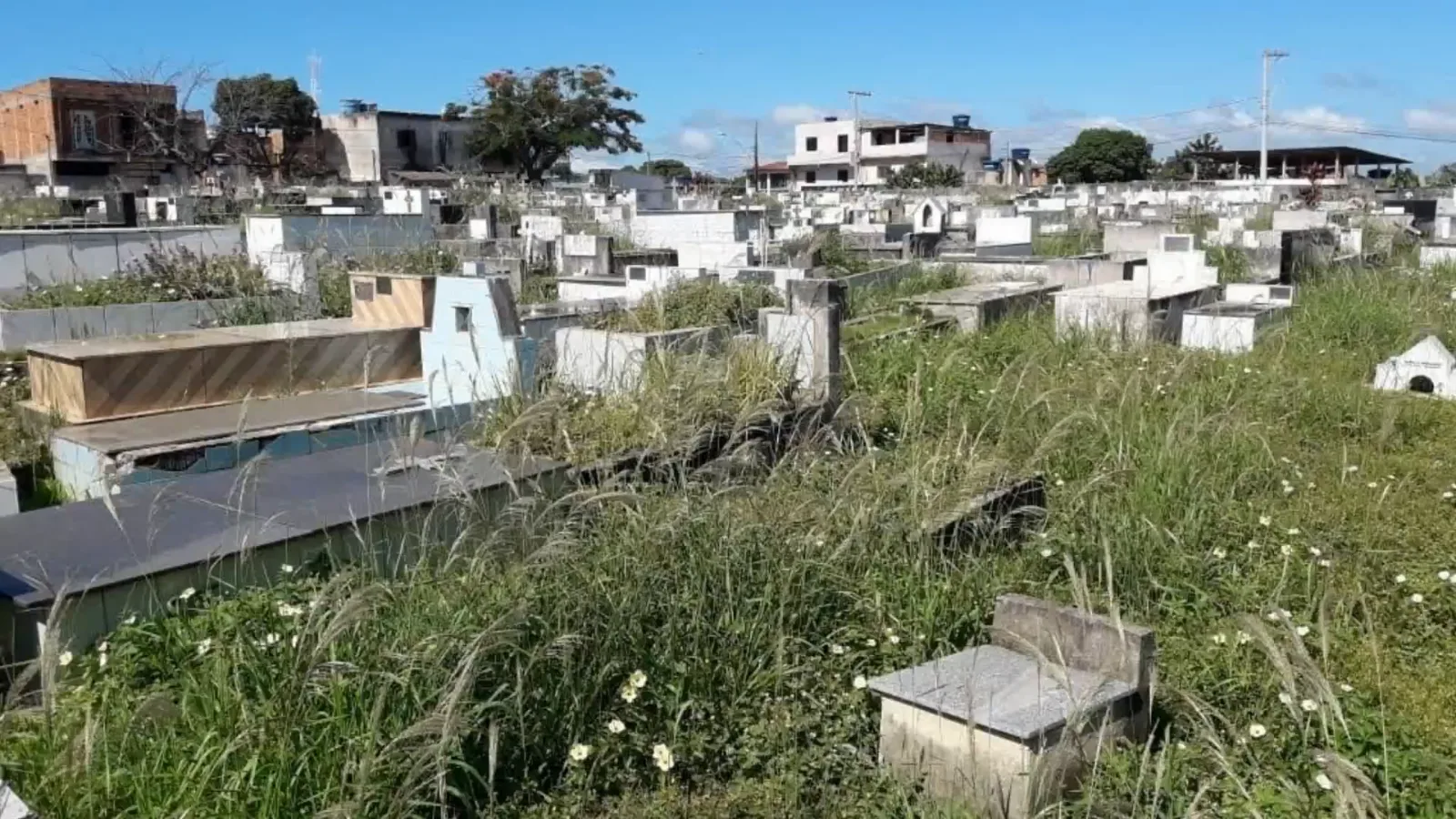 Morador filma Cemitério São Tobias em Guarapari e relata abandono