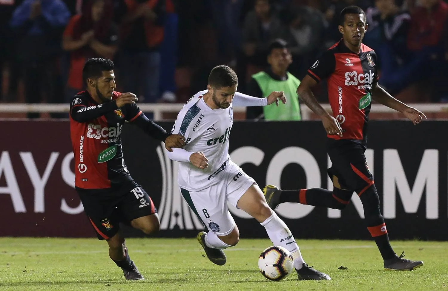 Foto: Reprodução/Palmeiras