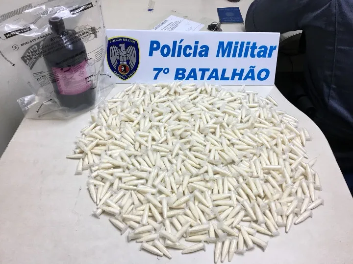 Mais de 600 pinos de cocaína são apreendidos em Viana