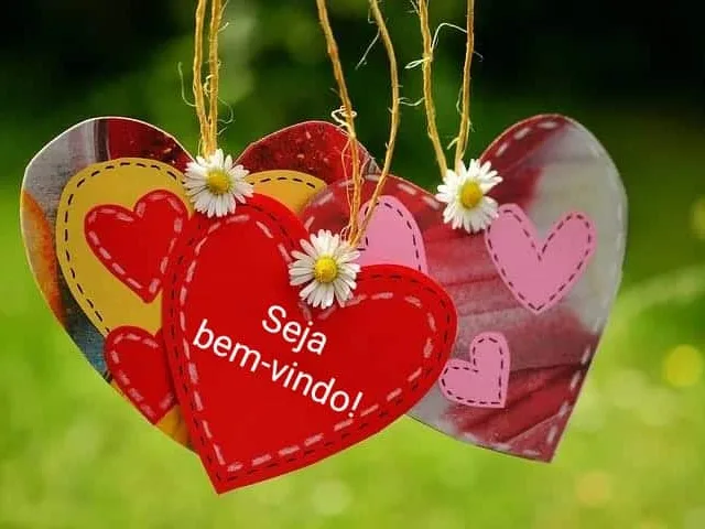 DICA DO DIA (Nº 7): BEM-VINDO