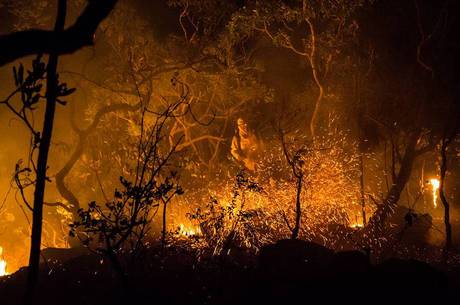 Acusações marcam apuração sobre incêndio no Cerrado