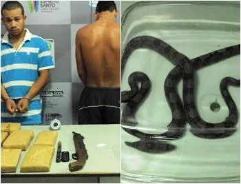 Suspeitos de tráfico são presos com duas cobras dentro de casa em Cariacica