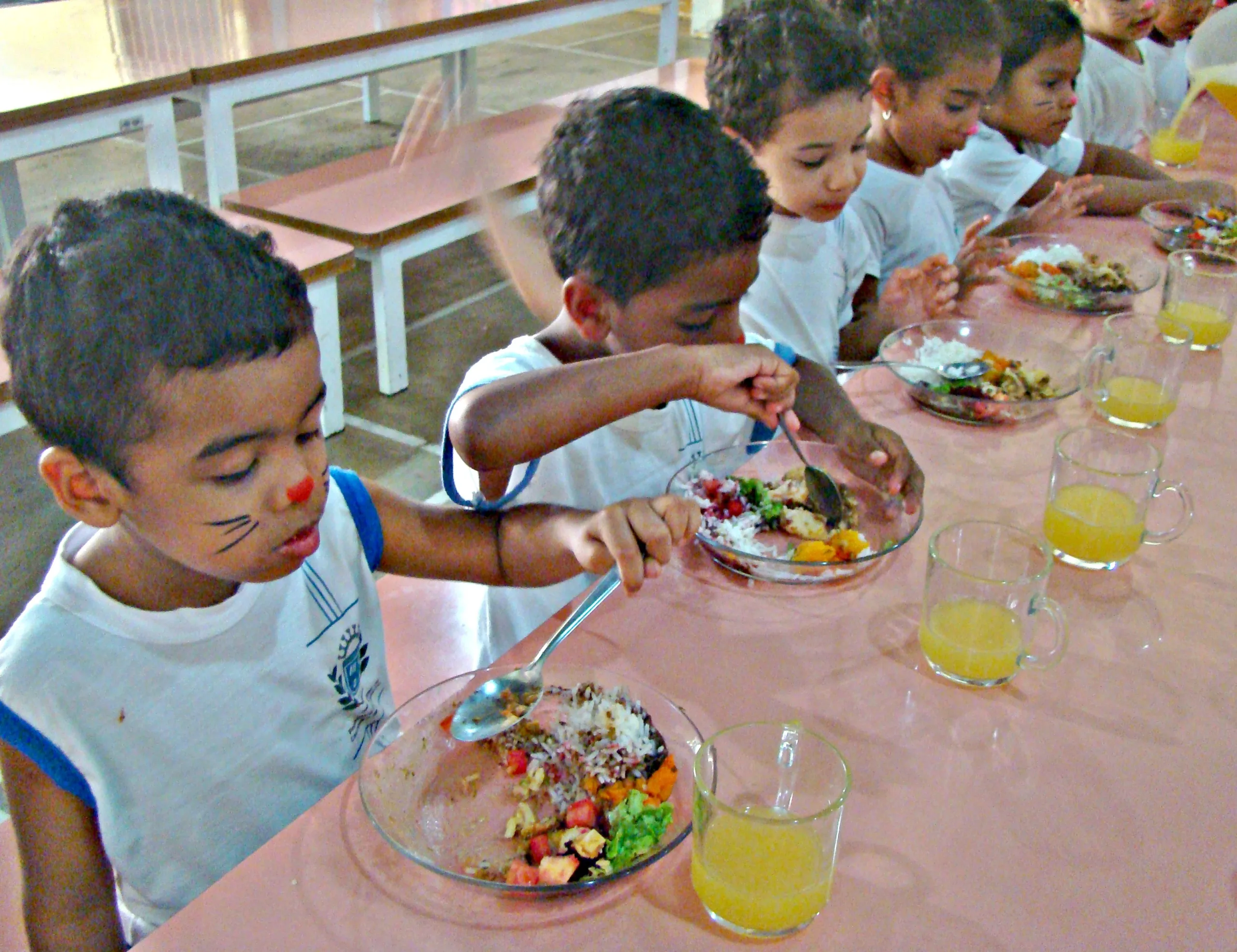 Curso gratuito sobre alimentação escolar abre 275 vagas em Cachoeiro