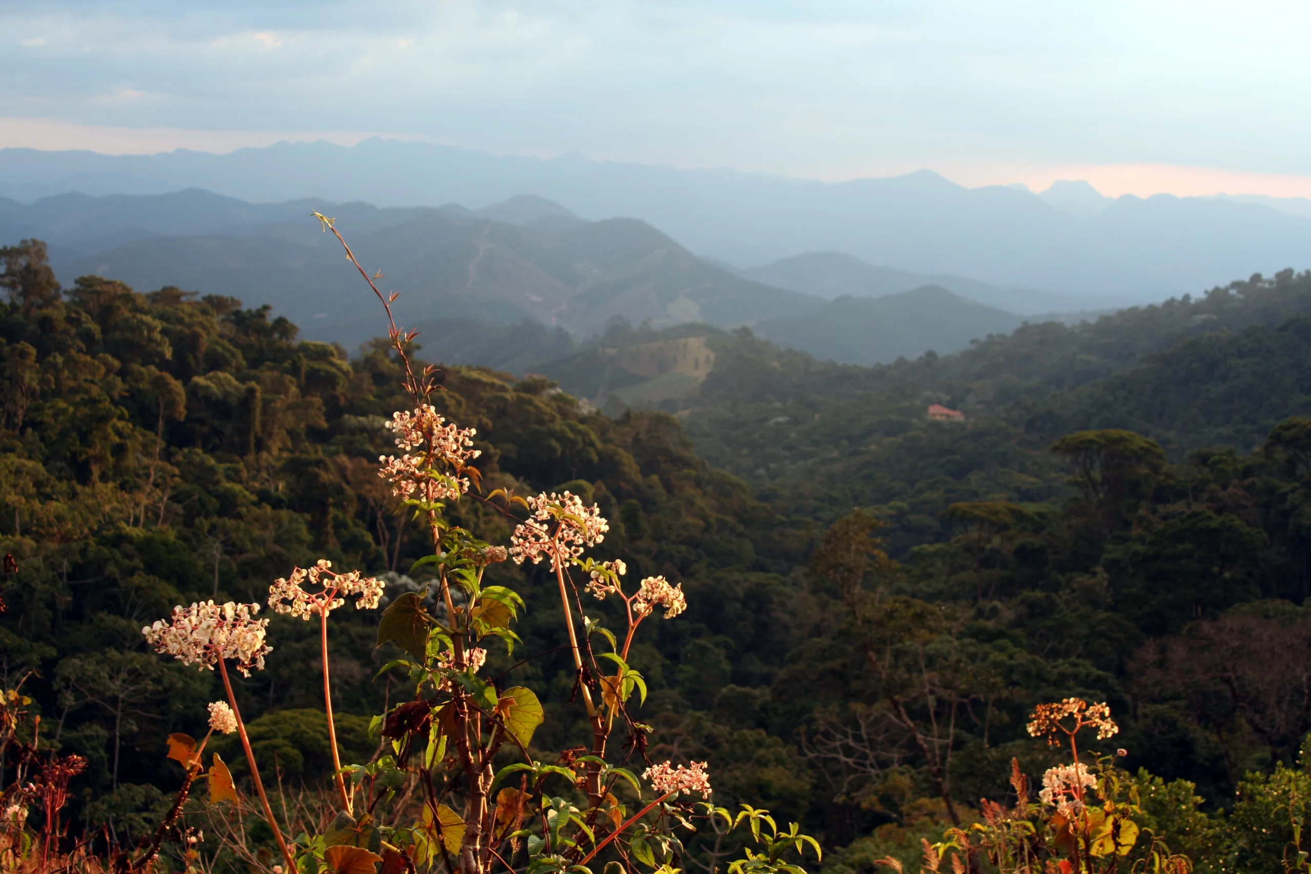 Espírito Santo e Minas Gerais disputam território na região do Caparaó