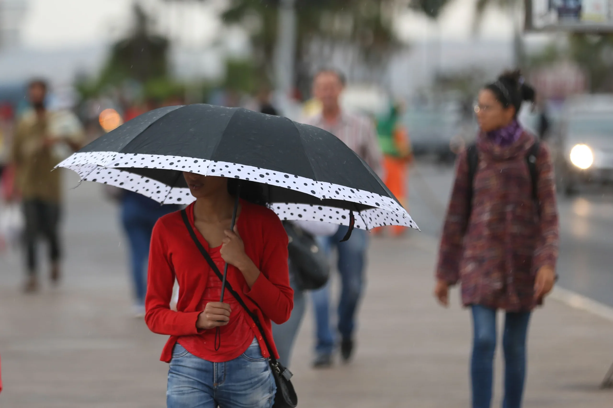 Brasília – Após quatro meses de seca, uma chuva fina caiu essa tarde no Distrito Federal (Fabio Rodrigues Pozzebom/Agência Brasil)