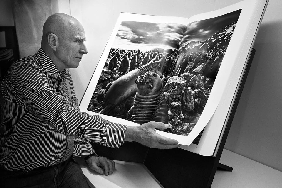 Sebastião Salgado é o primeiro brasileiro eleito para a Academia de Belas Artes da França