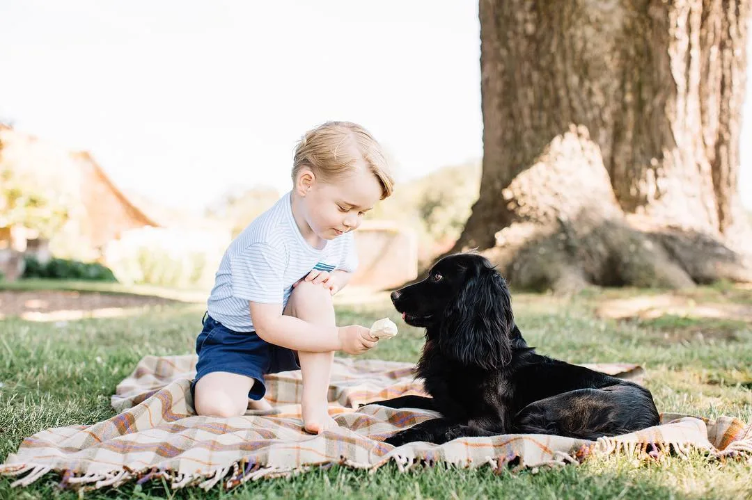 Príncipe George completa 3 anos nesta sexta-feira e família real divulga fotos