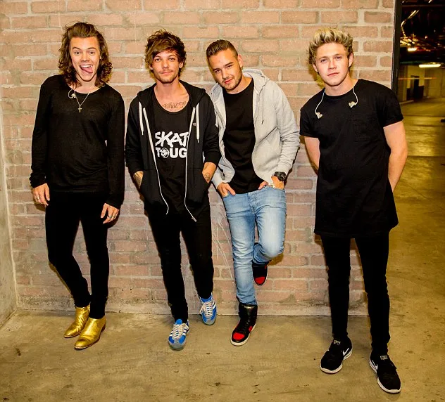 Liam Payne e Louis Tomlinson explicam empurrão durante show da One Direction