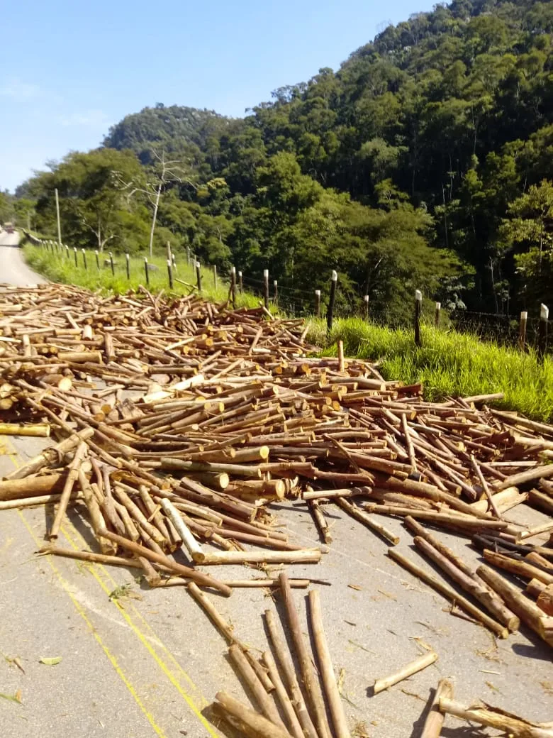 Caminhão carregado com eucalipto tomba e deixa feridos no Espírito Santo