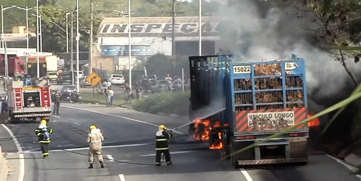 Carreta carregada de madeira pega fogo e interdita Rodovia do Contorno em Cariacica