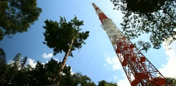 Falta de recursos ameaça pesquisa do Brasil em torre gigante da Amazônia