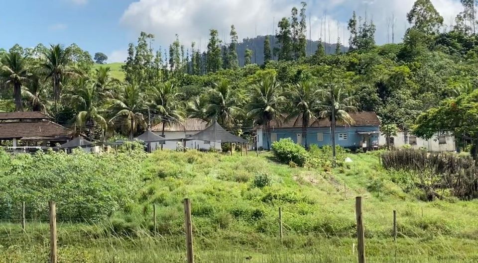 Fazenda da Santa Casa inicia produção de ovo caipira para atender pacientes