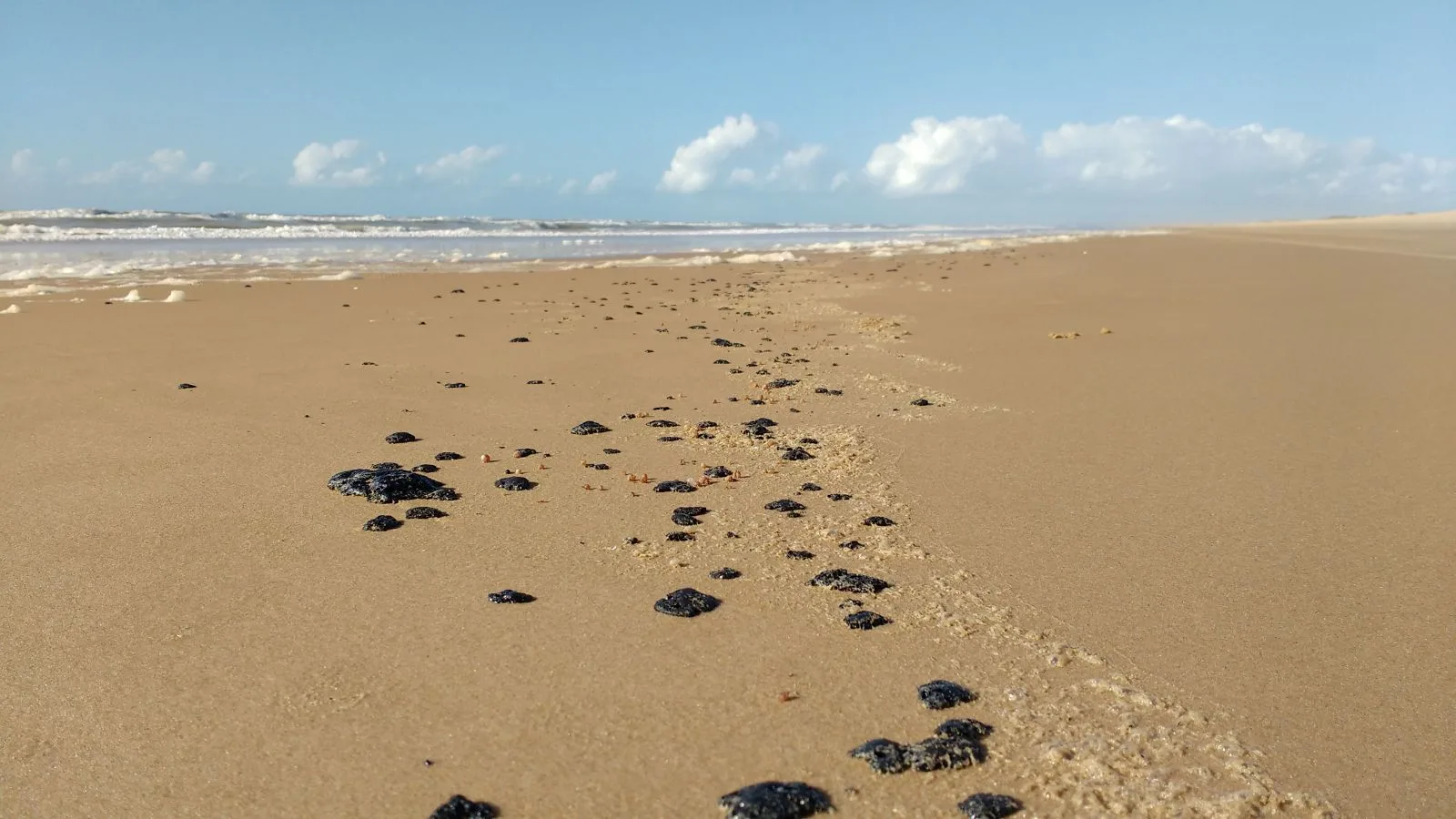 Manchas de óleo atingem Baía de Todos-os-Santos e piscinas naturais de Alagoas