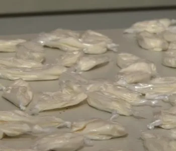 Polícia apreende mais de 100 papelotes de cocaína escondidos em caixa de perfume