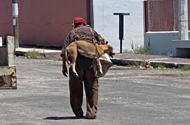 Foto: Carlos Alberto Lizcano Santos