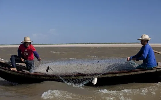 Projeto que proíbe a pesca com rede em Vitória é aprovado pela Câmara Municipal