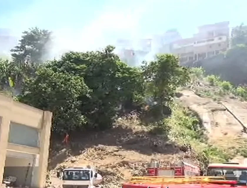 Incêndio atinge área de vegetação em bairro de Vitória