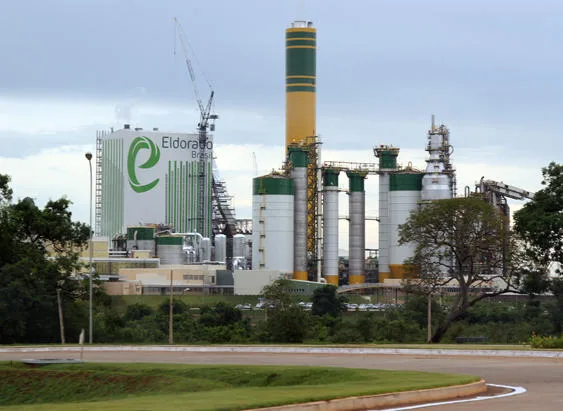 Eldorado Celulose registra prejuízo de R$ 182 milhões no 1º trimestre