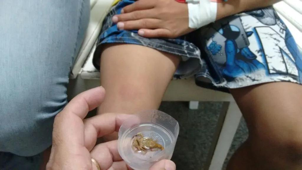 Imagem da matéria